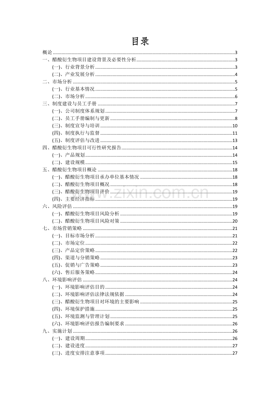 2024年醋酸衍生物项目可行性分析报告.docx_第2页