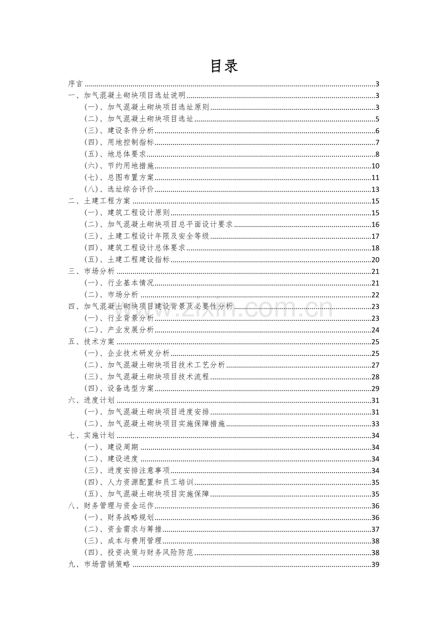 2024年加气混凝土砌块项目可行性研究报告.docx_第2页