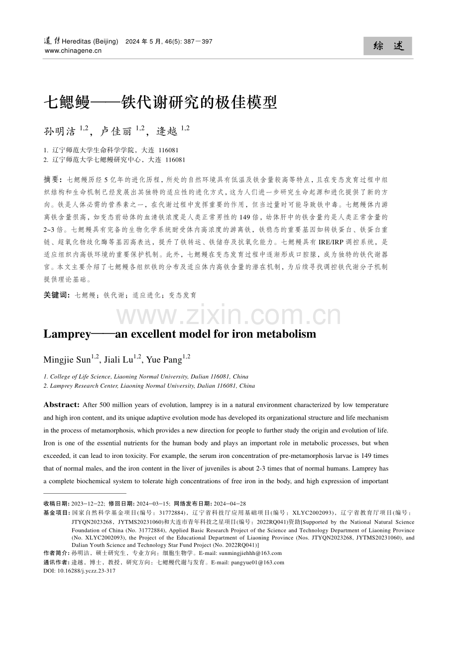 七鳃鳗——铁代谢研究的极佳模型.pdf_第1页