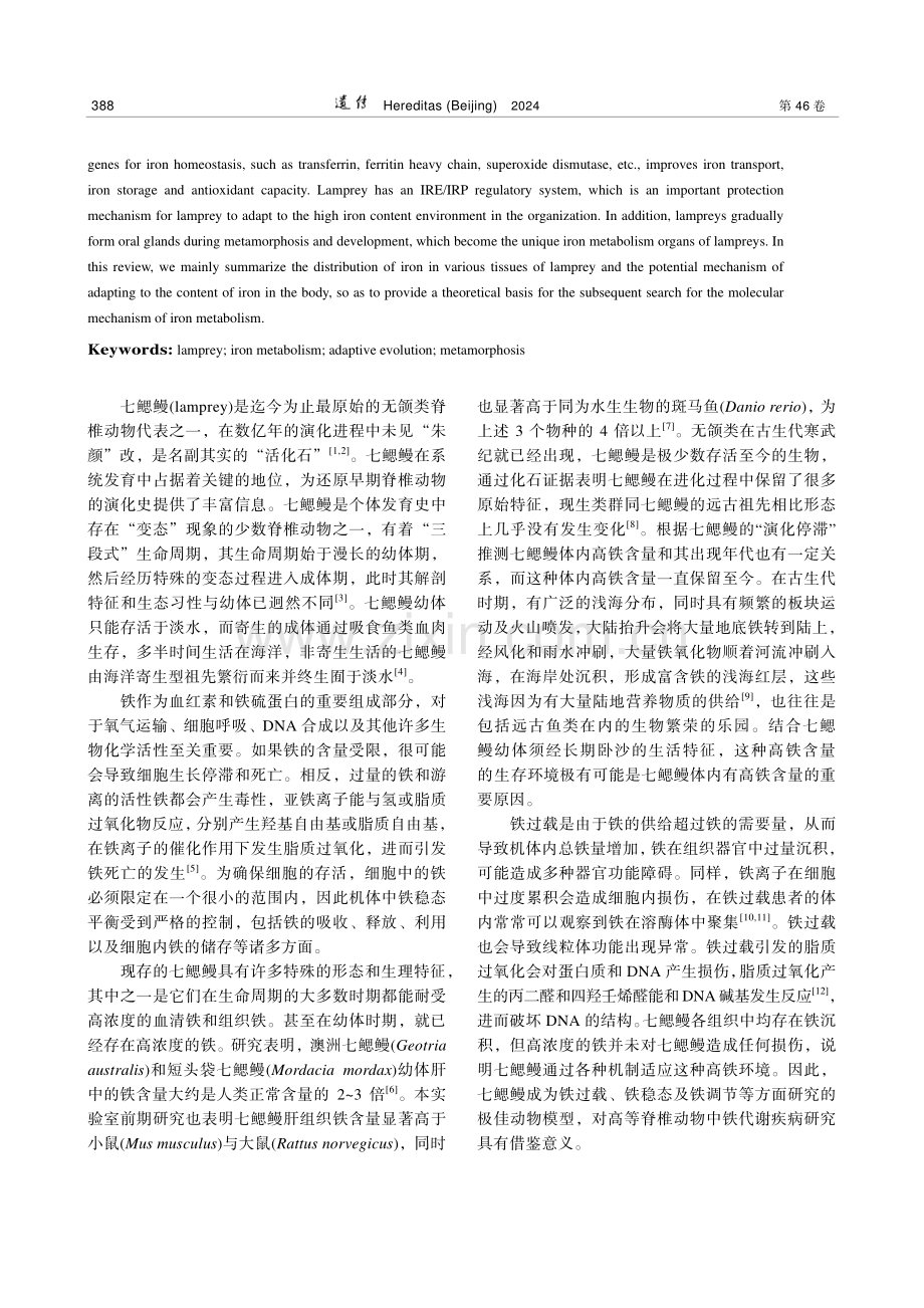 七鳃鳗——铁代谢研究的极佳模型.pdf_第2页