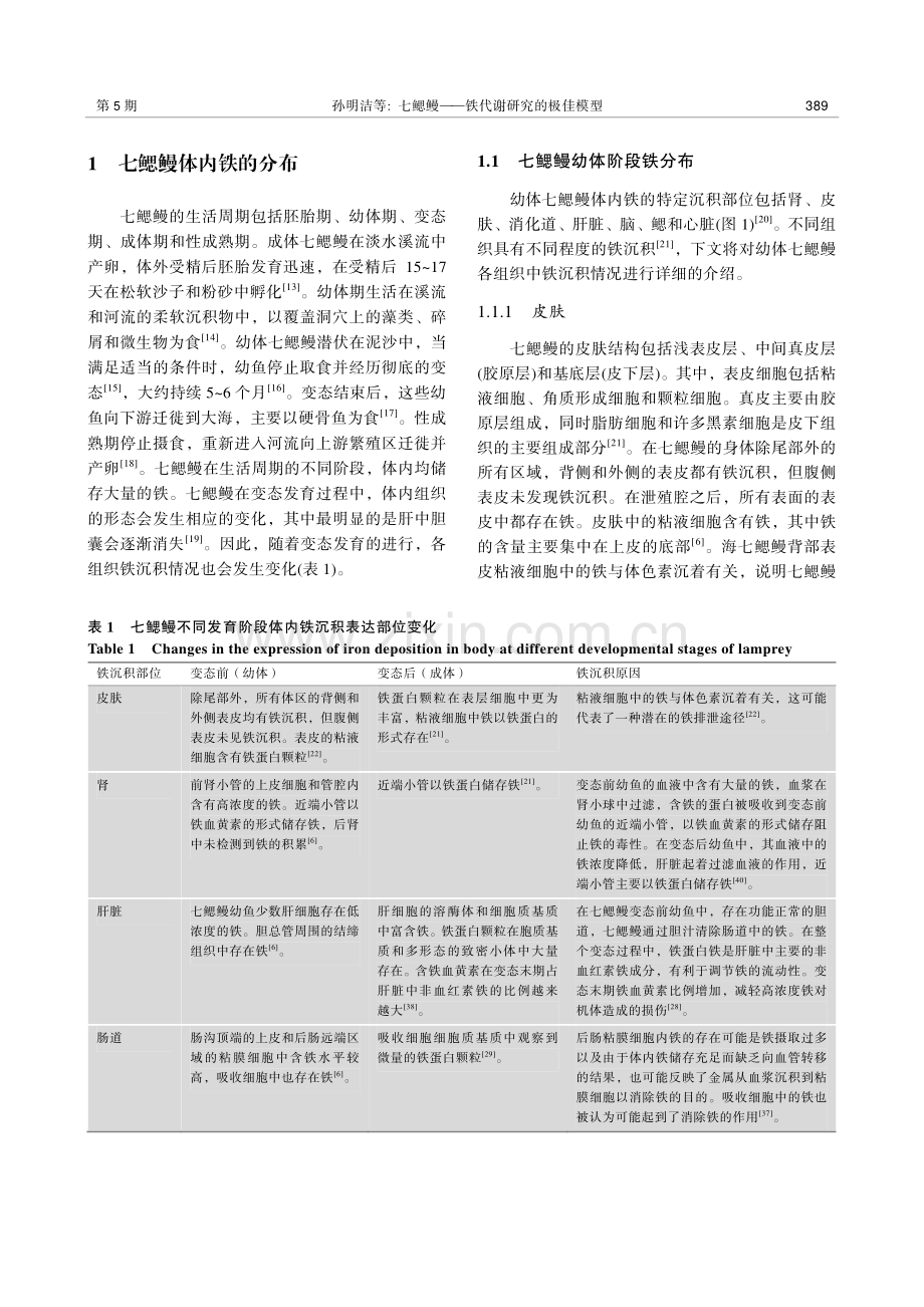 七鳃鳗——铁代谢研究的极佳模型.pdf_第3页