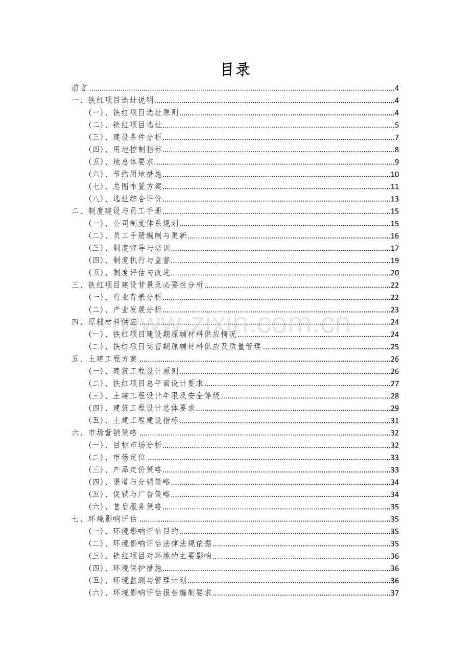 2024年铁红项目可行性分析报告.docx_第2页