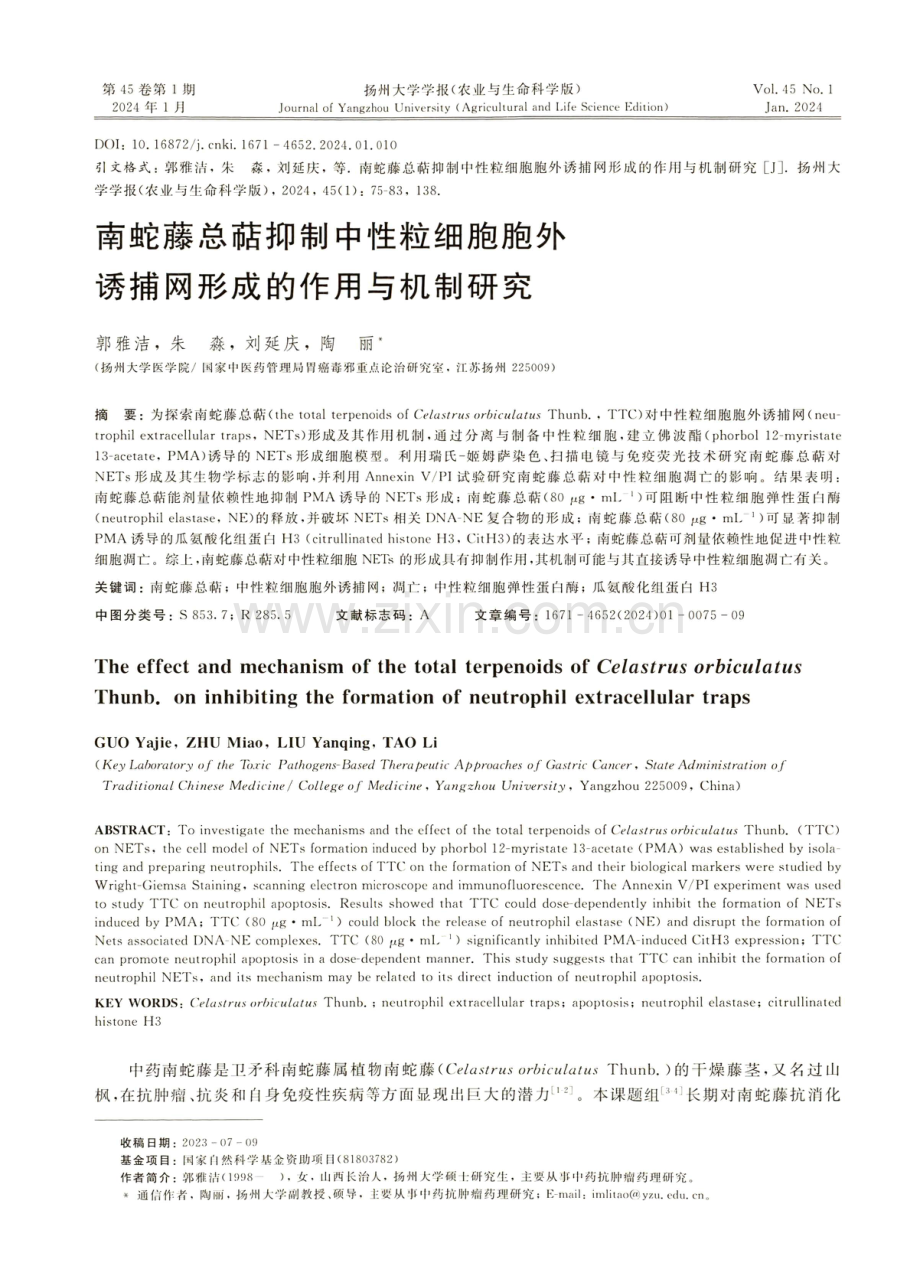 南蛇藤总萜抑制中性粒细胞胞外诱捕网形成的作用与机制研究.pdf_第1页