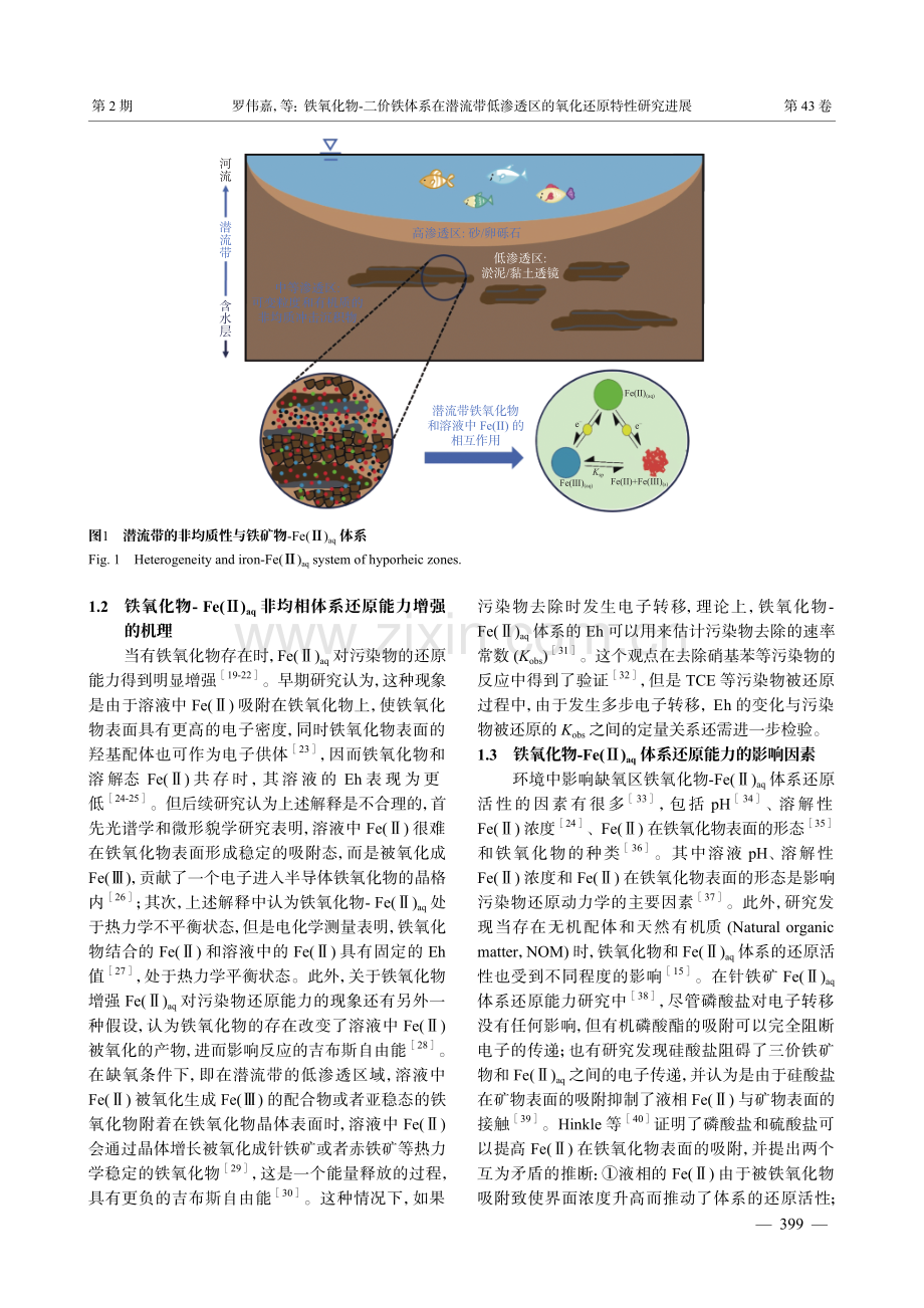 铁氧化物-二价铁体系在潜流带低渗透区的氧化还原特性研究进展.pdf_第3页