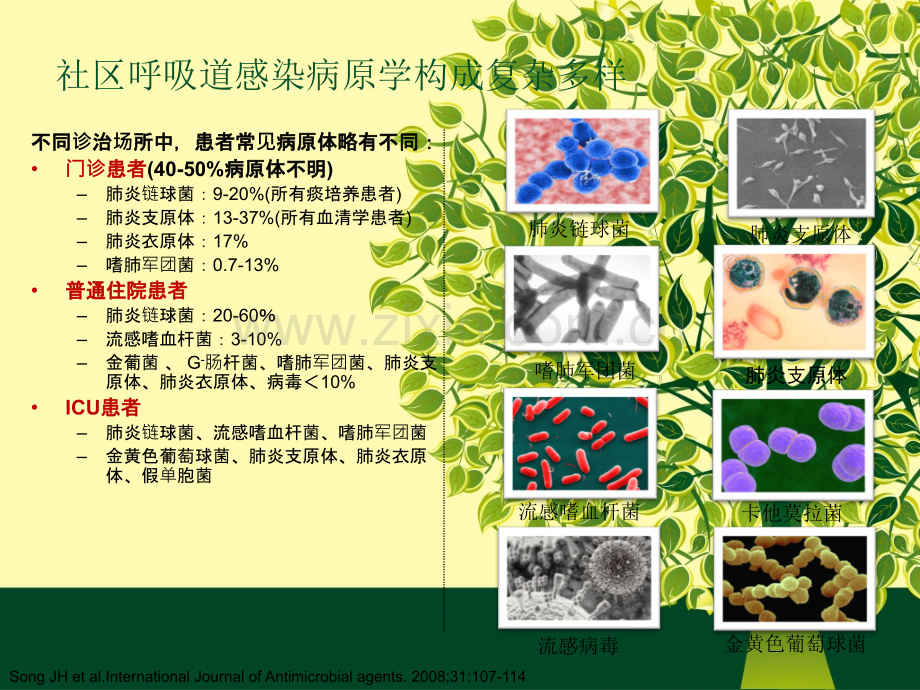 掌握我国呼吸道感染病原学特点-合理选择抗菌药物20120605.ppt_第3页