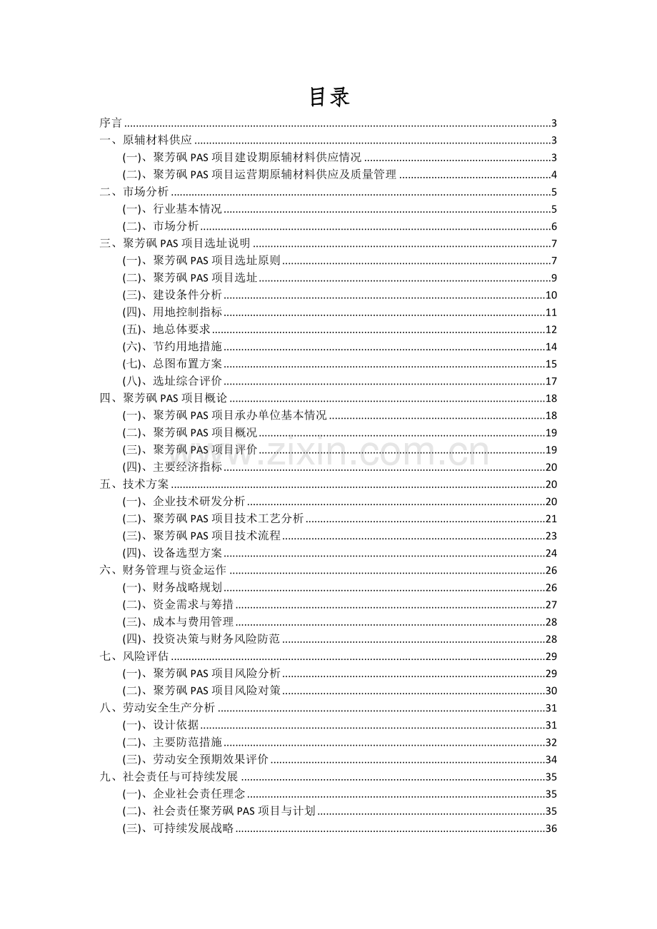 2024年聚芳砜PAS项目可行性分析报告.docx_第2页