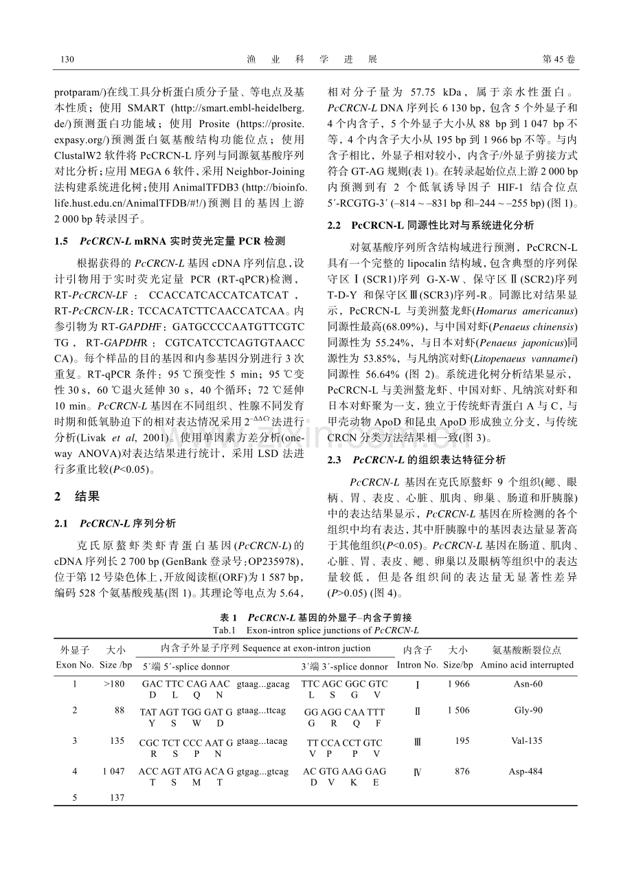 克氏原螯虾PcCRCN-L基因的克隆鉴定及在低氧胁迫下的表达响应.pdf_第3页