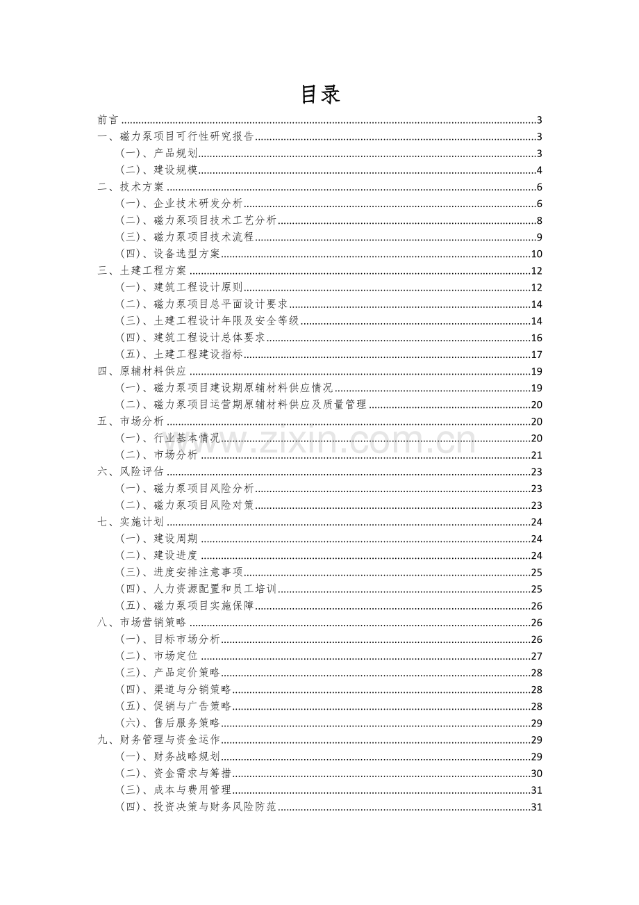 2024年磁力泵项目可行性研究报告.docx_第2页