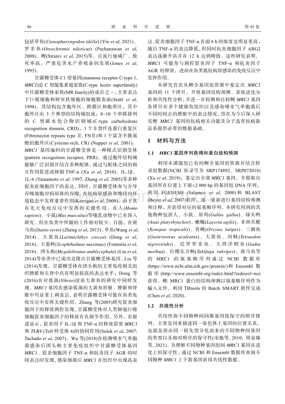 鲤多拷贝基因MRC1的全基因组鉴定及表达分析.pdf_第2页