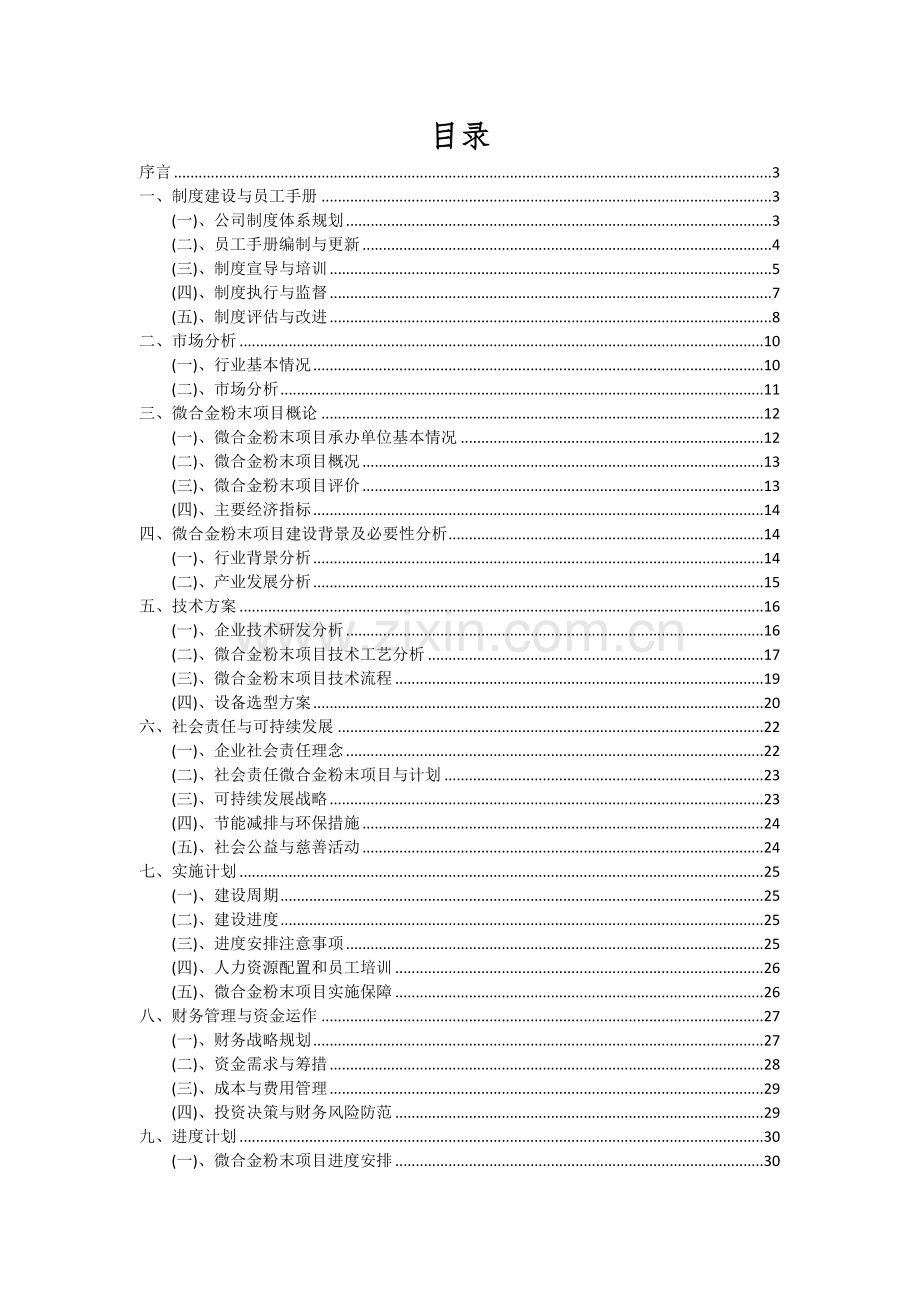 2024年微合金粉末项目可行性研究报告.docx_第2页