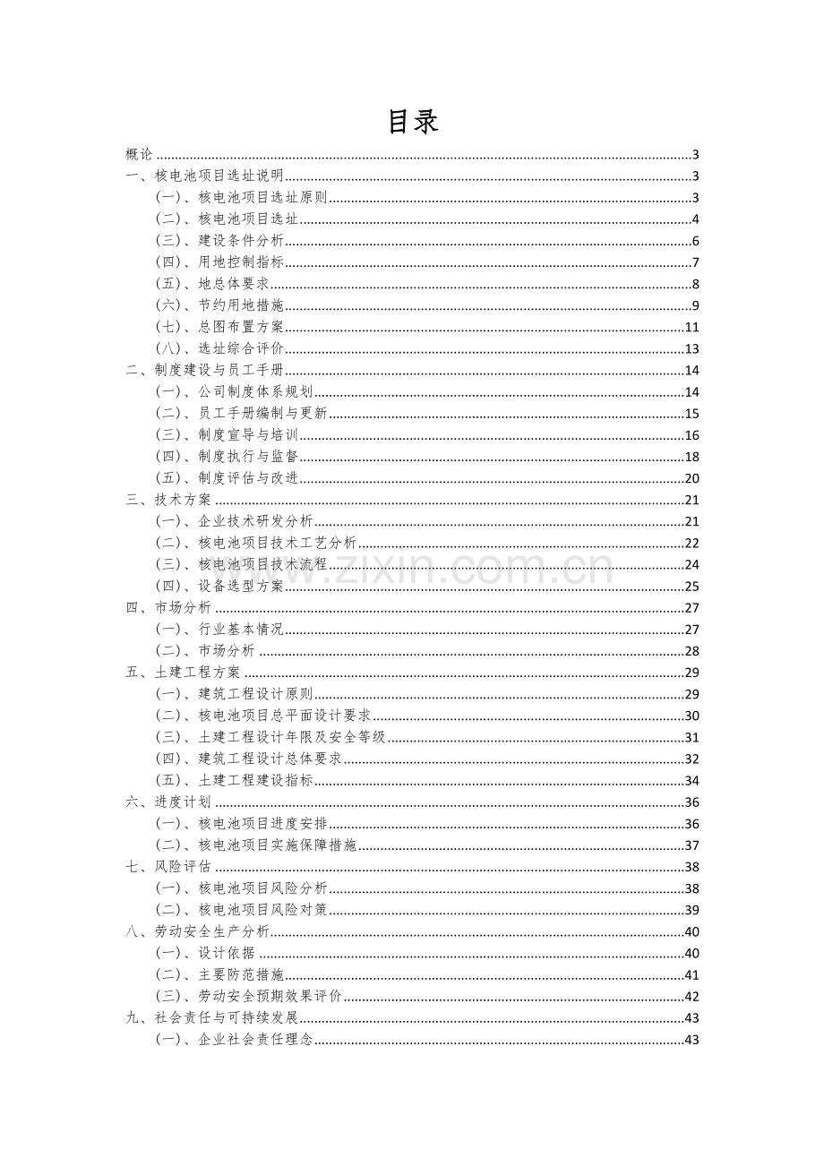 2024年核电池项目投资分析及可行性报告.docx_第2页