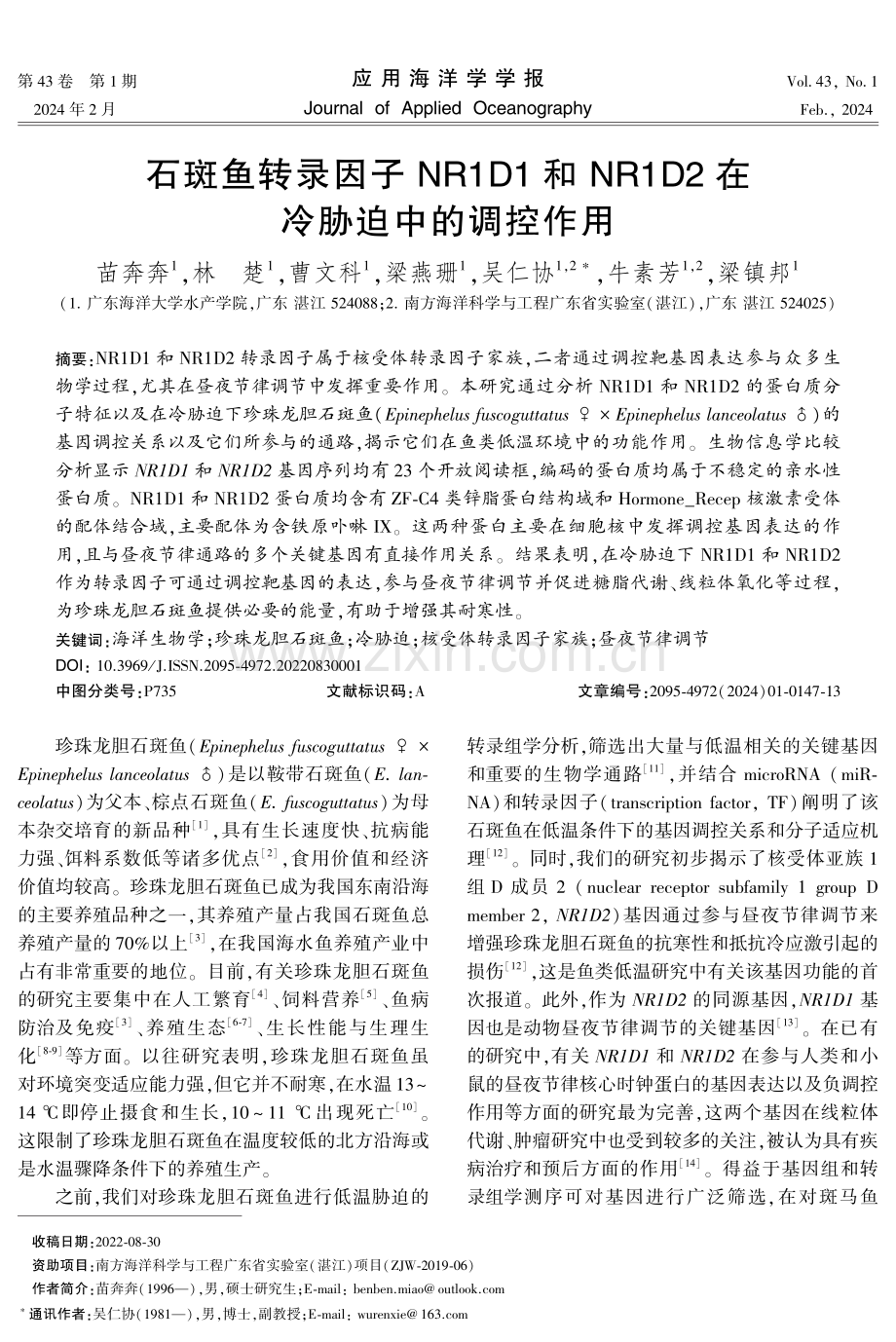 石斑鱼转录因子NR1D1和NR1D2在冷胁迫中的调控作用.pdf_第1页