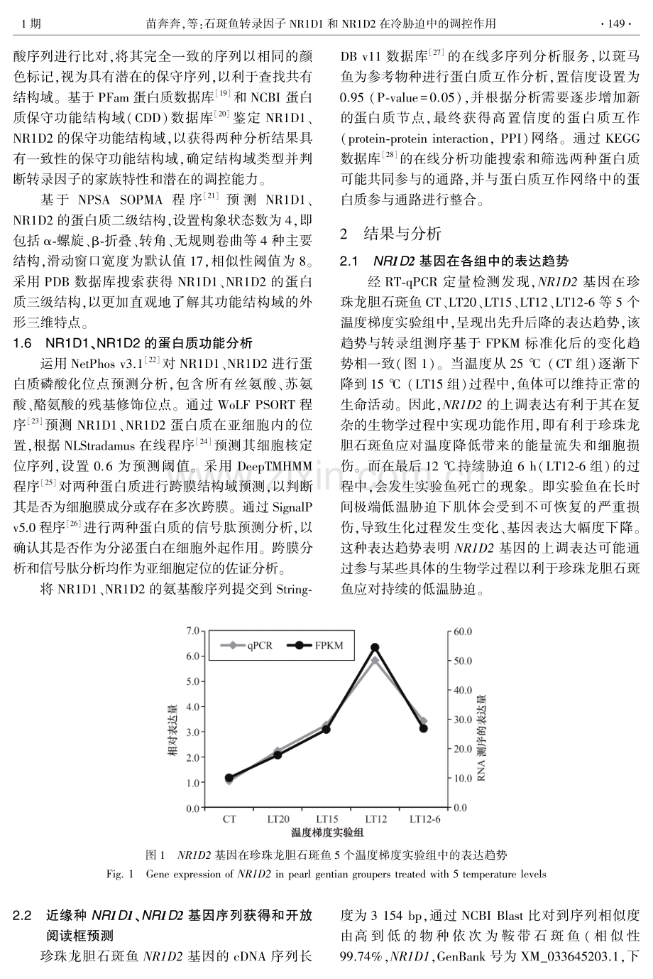 石斑鱼转录因子NR1D1和NR1D2在冷胁迫中的调控作用.pdf_第3页