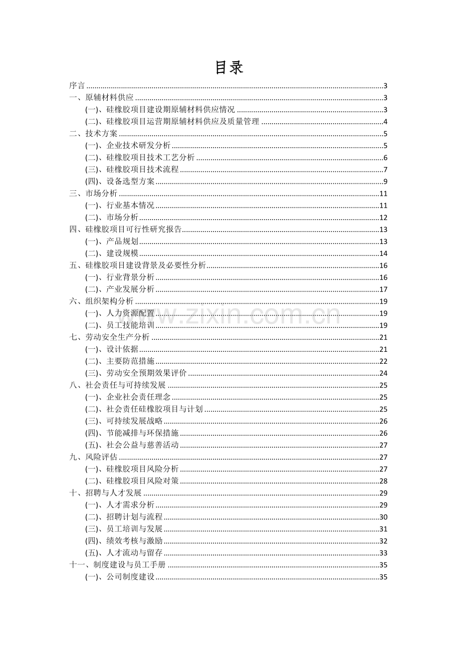 2024年硅橡胶项目投资分析及可行性报告.docx_第2页