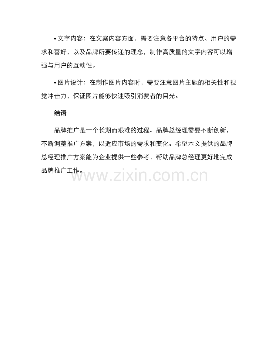 品牌总经理推广方案.docx_第3页