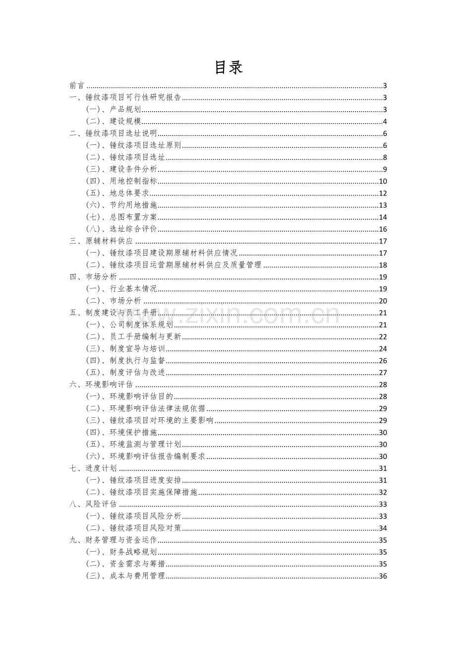 2024年锤纹漆项目可行性研究报告.docx_第2页