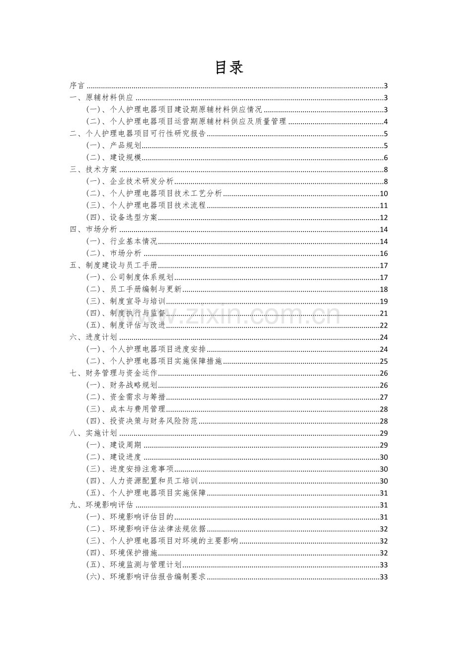 2024年个人护理电器项目可行性研究报告.docx_第2页