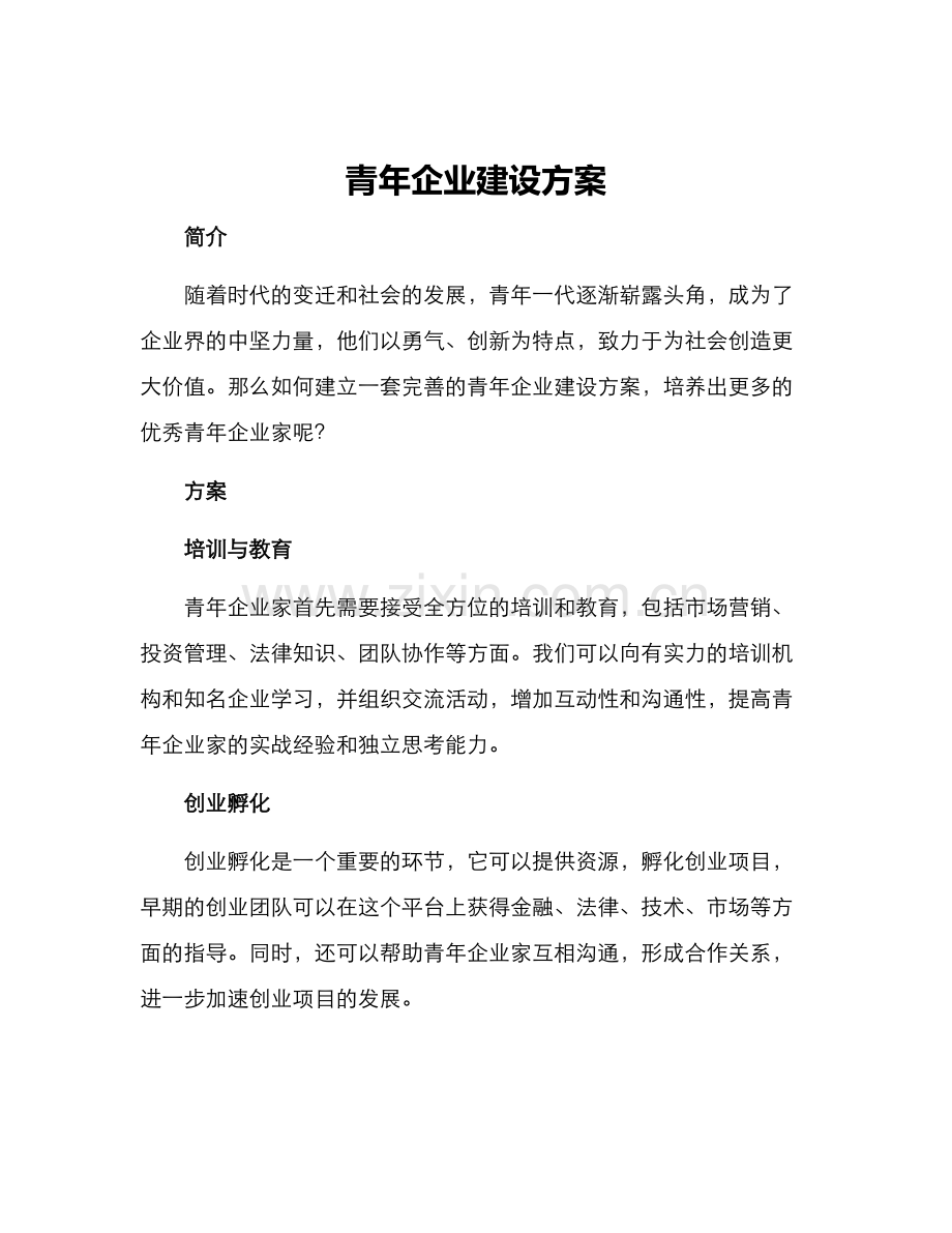 青年企业建设方案.docx_第1页