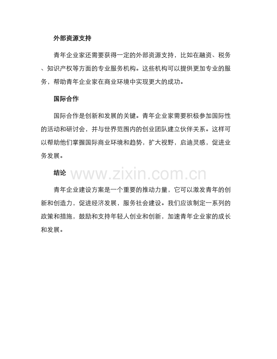 青年企业建设方案.docx_第2页