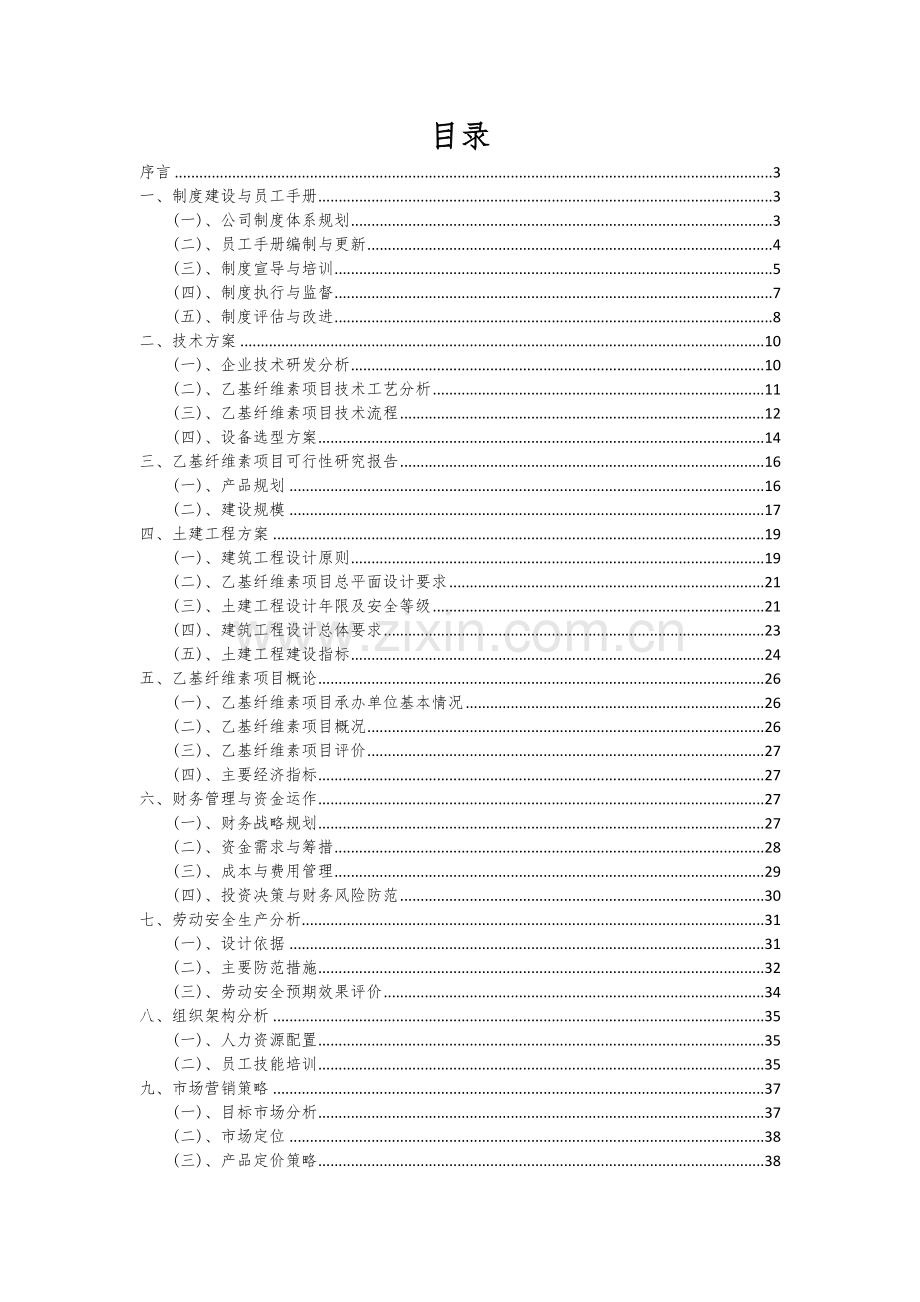 2024年乙基纤维素项目投资分析及可行性报告.docx_第2页