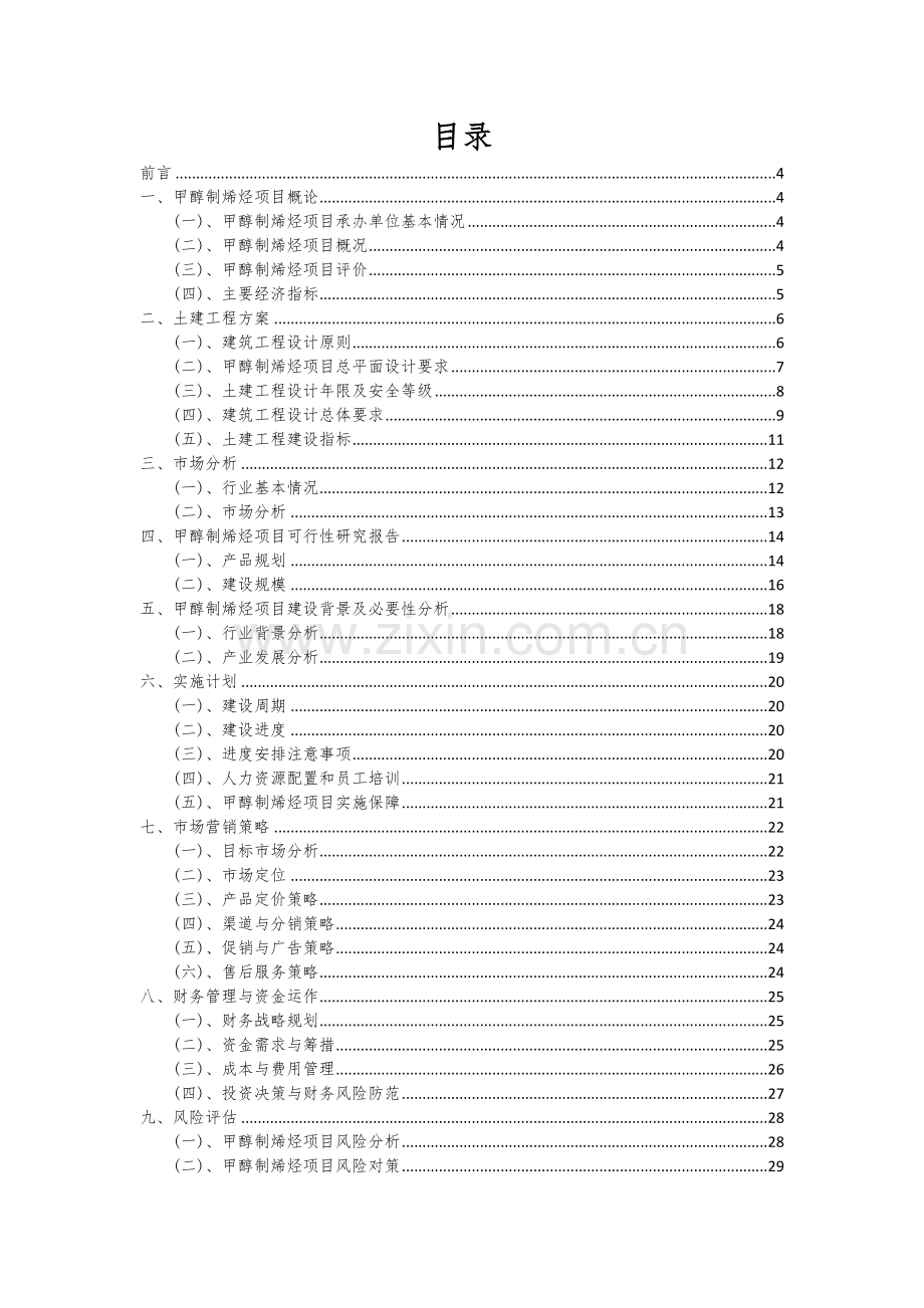 2024年甲醇制烯烃项目投资分析及可行性报告.docx_第2页