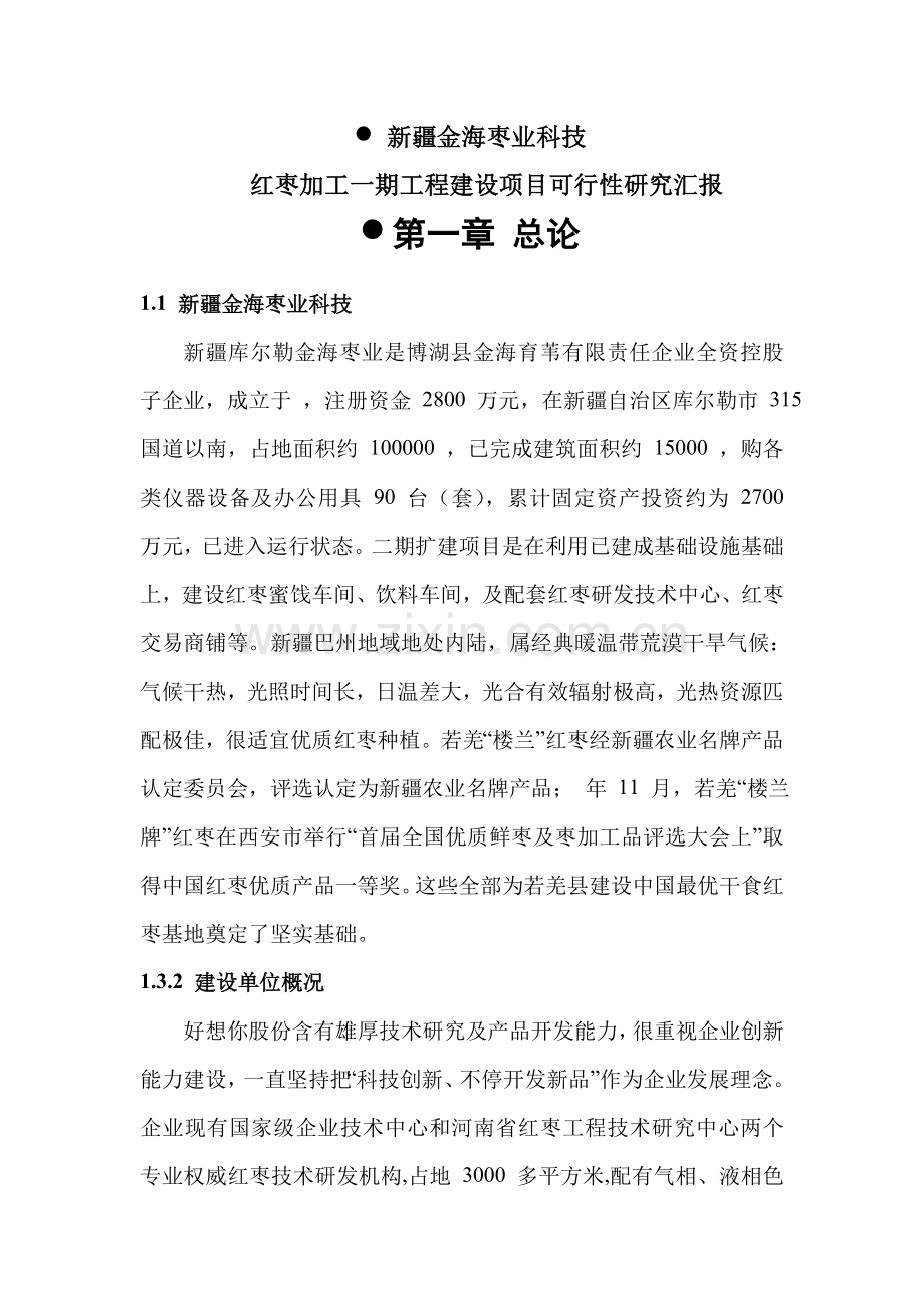 公司红枣加工工程建设项目可行性研究报告样本.doc_第1页