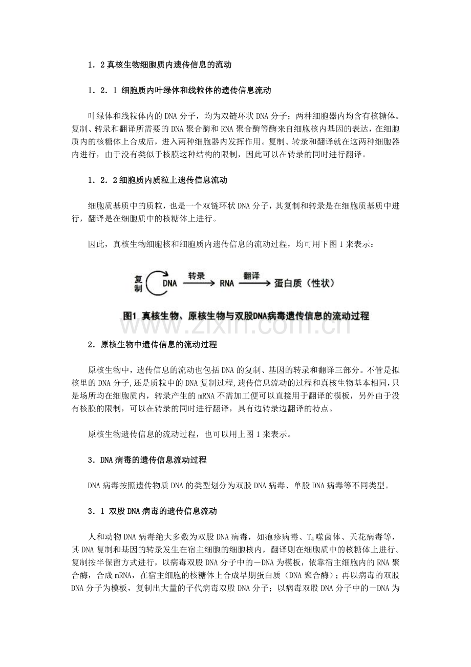 高中生物学中遗传信息的流动浅谈.doc_第2页