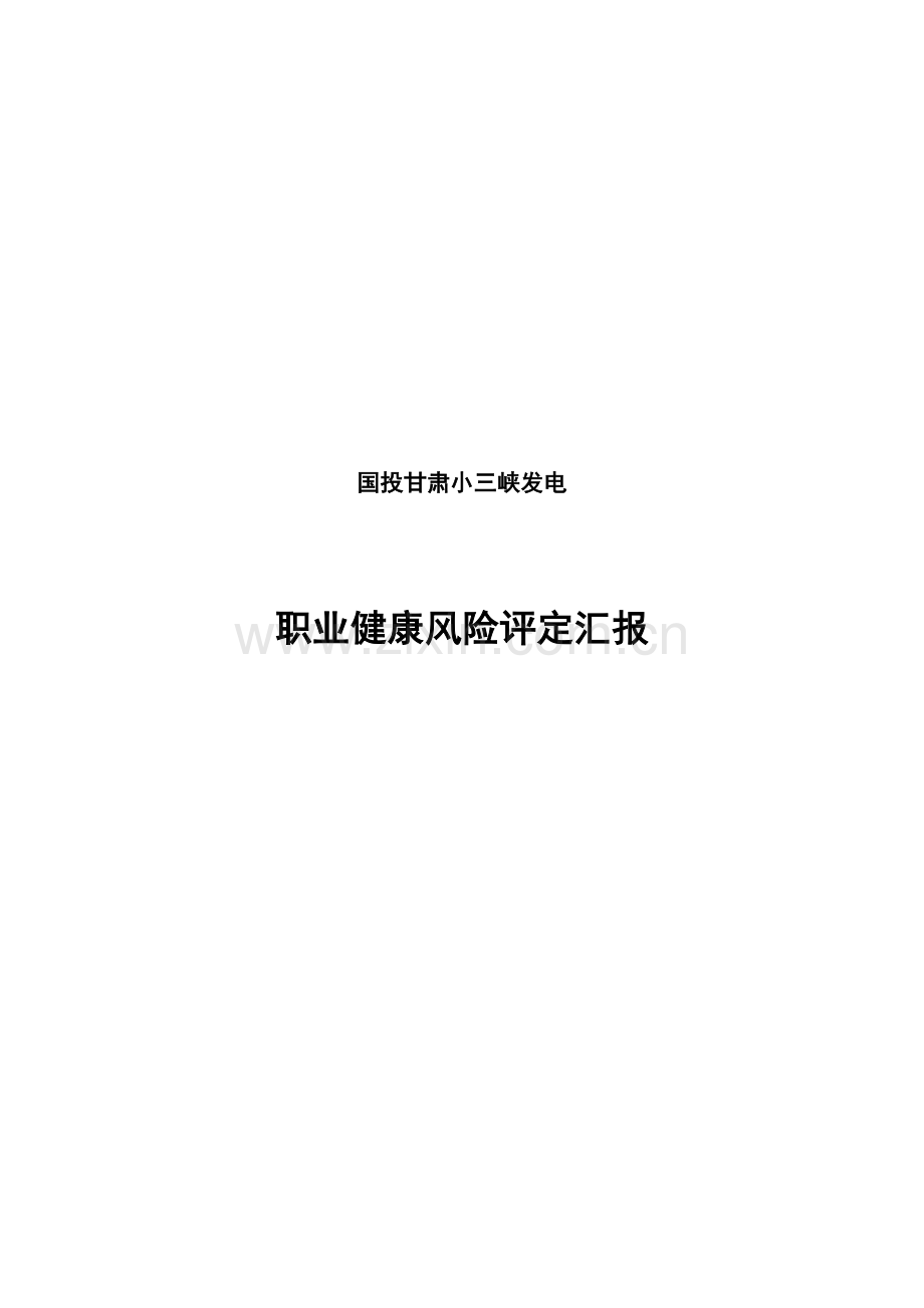 发电公司职业健康风险评估报告样本.doc_第1页