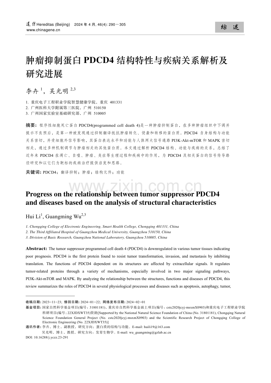 肿瘤抑制蛋白PDCD4结构特性与疾病关系解析及研究进展.pdf_第1页