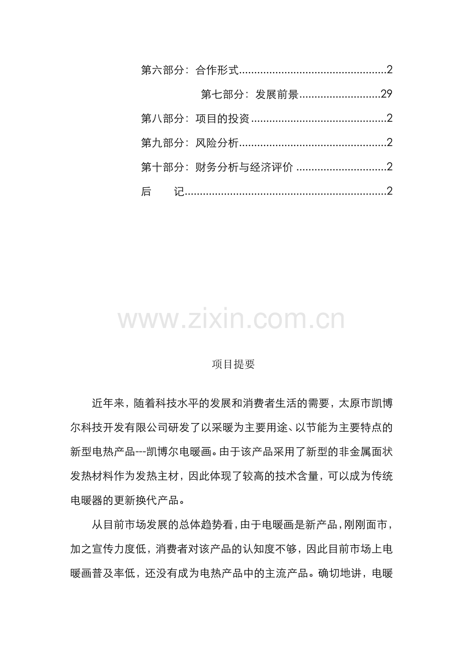 《凯博尔电暖画商业计划书》(DOC43页)合集.doc_第2页