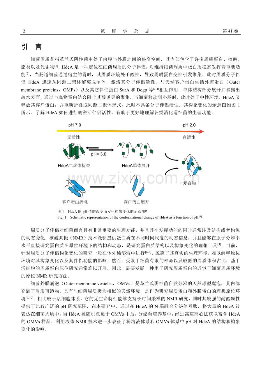 HdeA在细菌外膜囊泡环境下的原位NMR研究.pdf_第2页