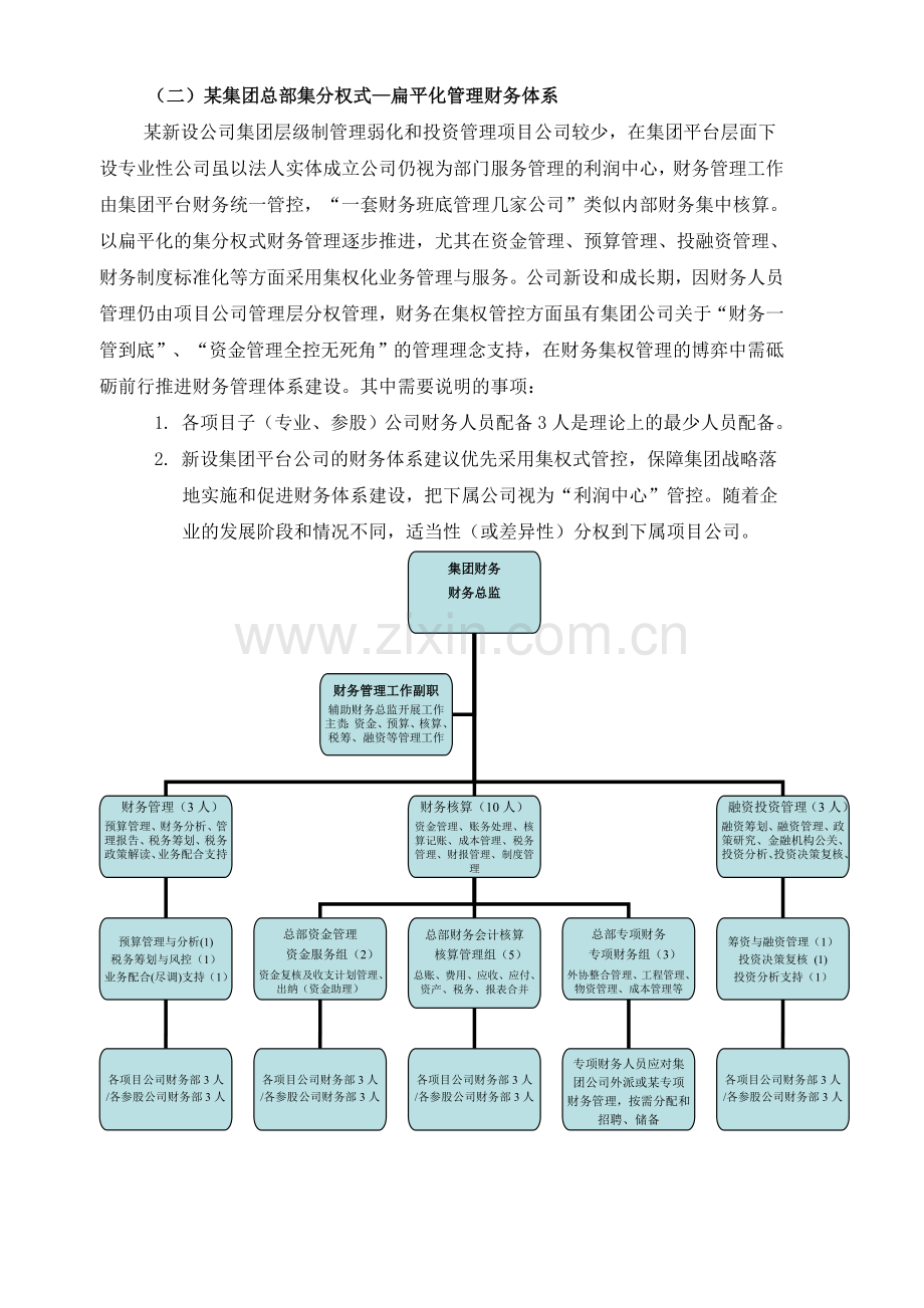 财务体系模式及组织架构方案设计整理丰富版.doc_第2页