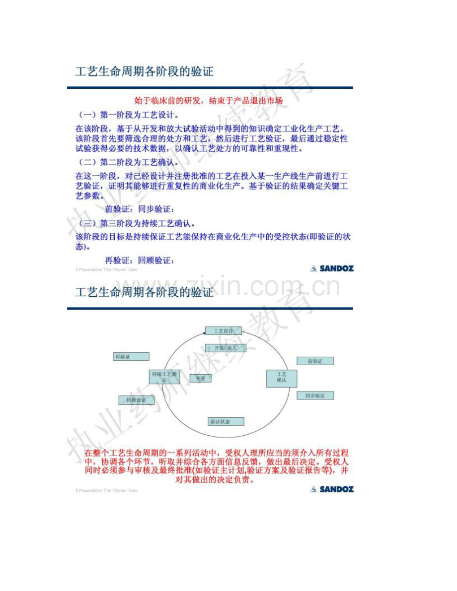 工艺验证和关键工艺参数的批准工艺规程和主批生产记录的批准精.doc_第3页