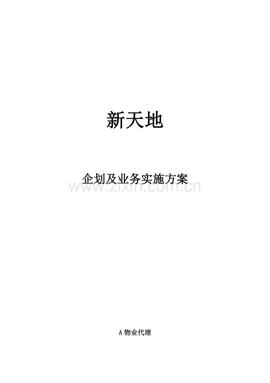 公司企划及业务执行方案样本.doc_第1页