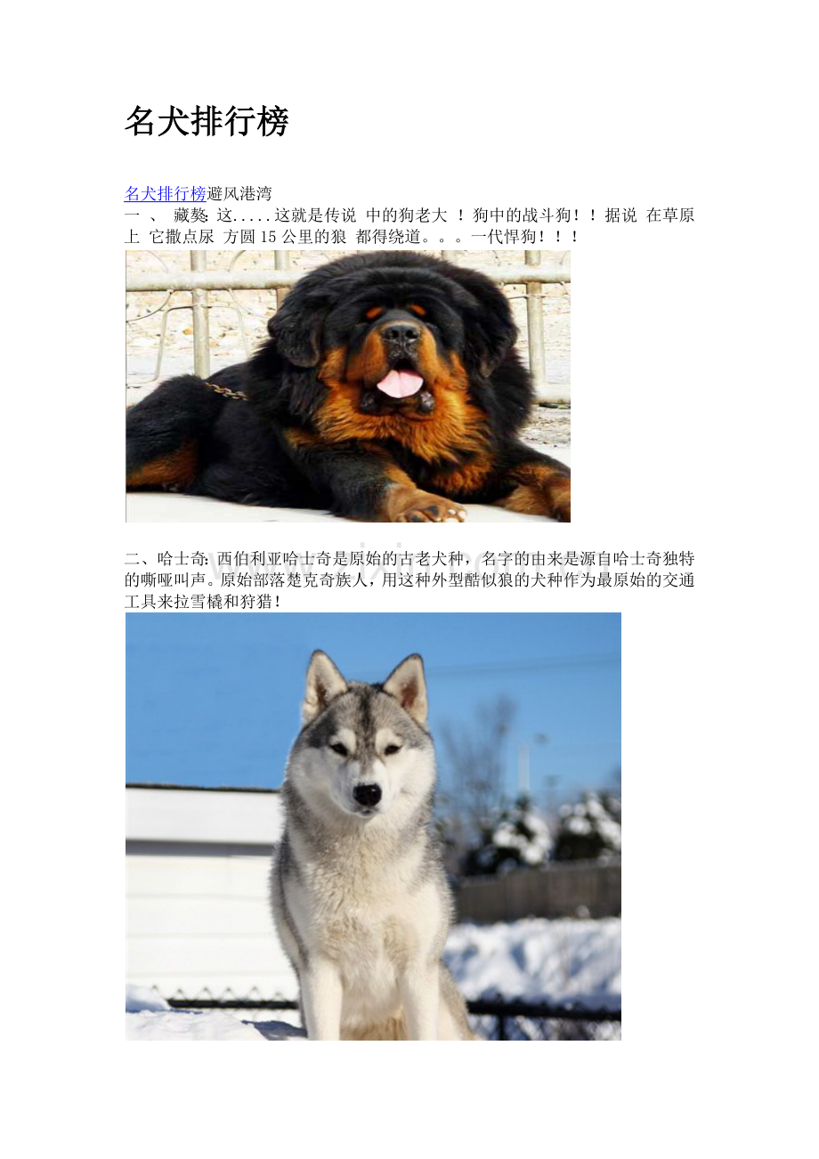 名犬排行榜.docx_第1页