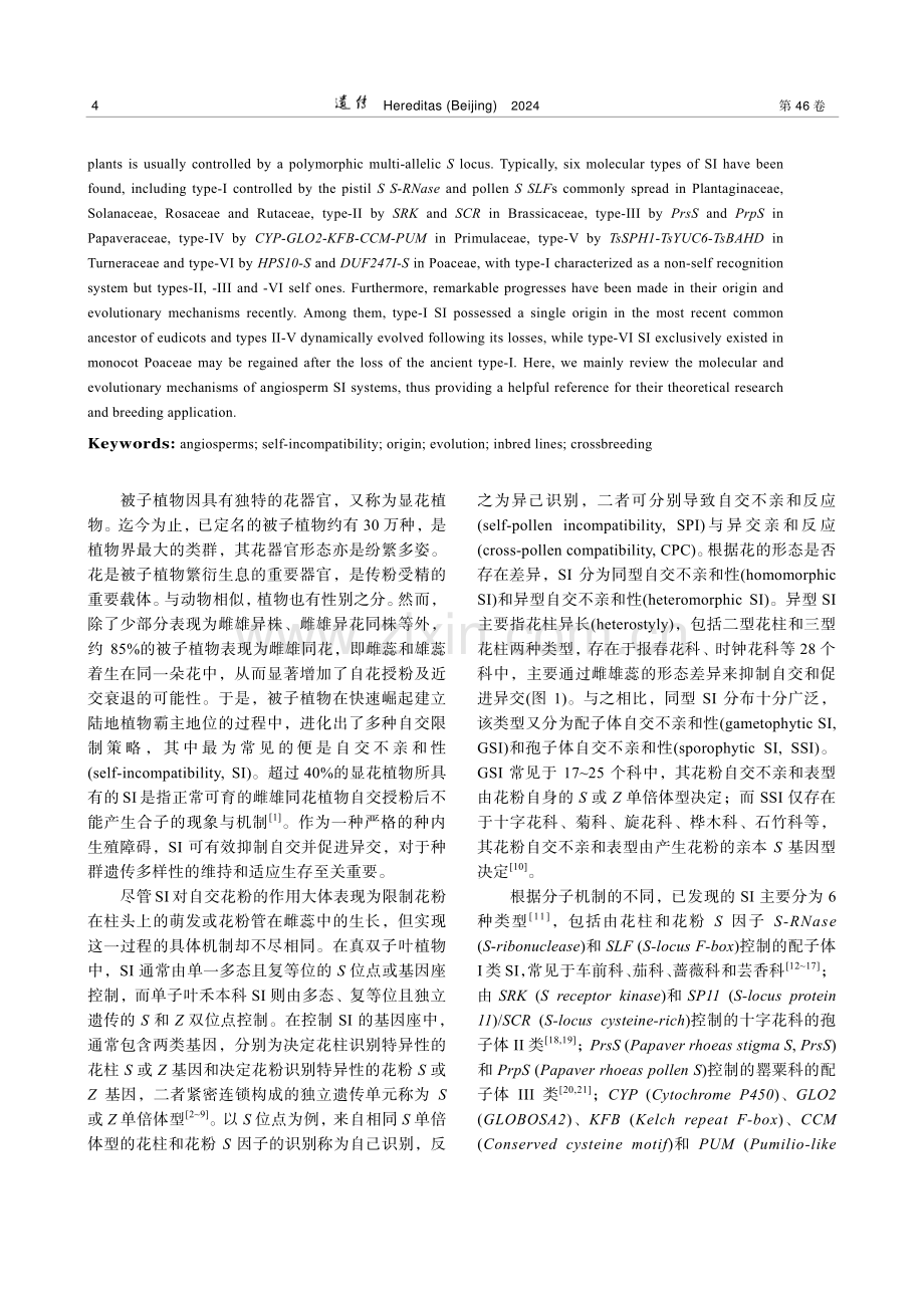 显花植物自交不亲和性的分子与演化机制.pdf_第2页