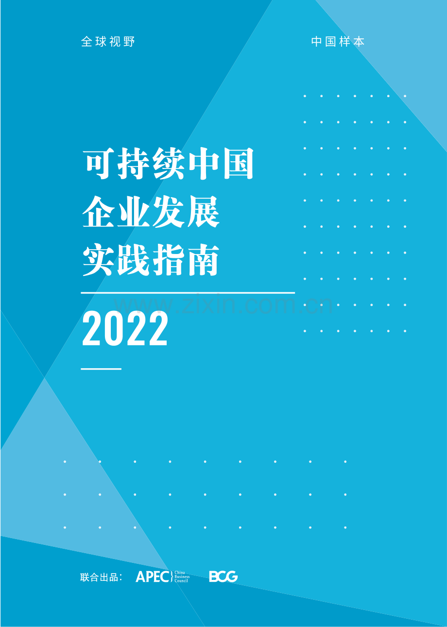 可持续中国企业发展实践指南.pdf_第1页