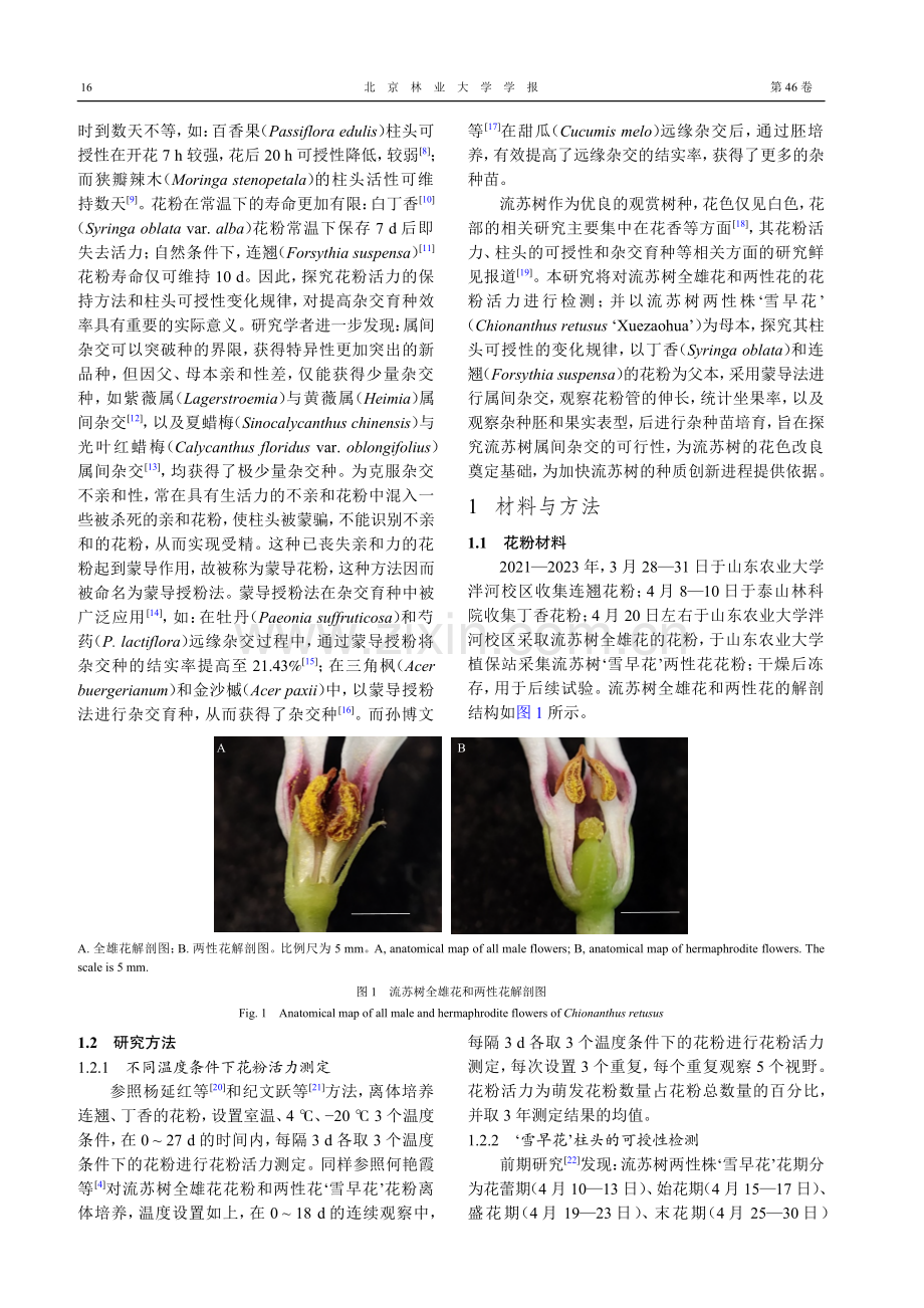 流苏树花粉活力、柱头可授性和不同属间的远缘杂交初探.pdf_第3页