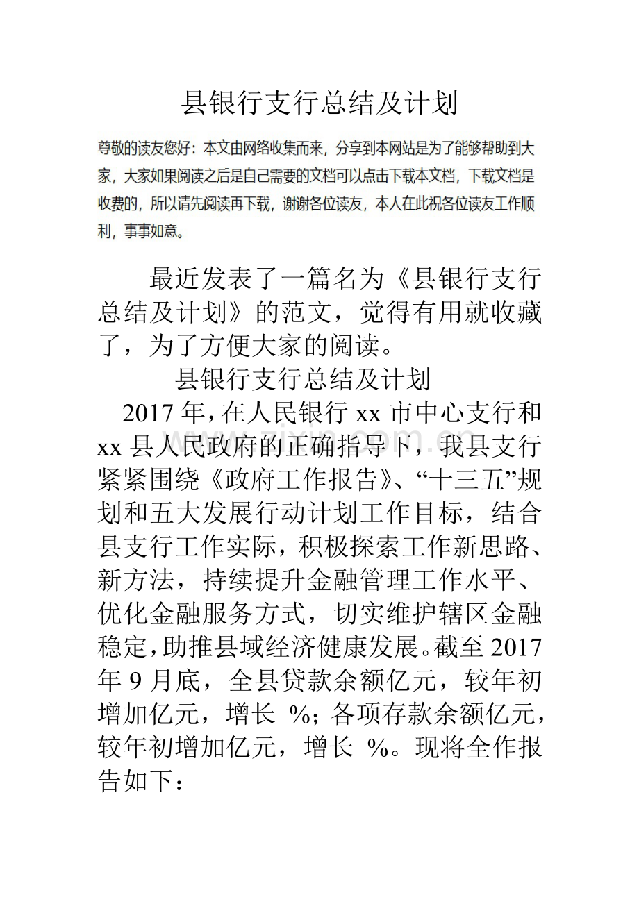 县银行支行总结及计划.doc_第1页