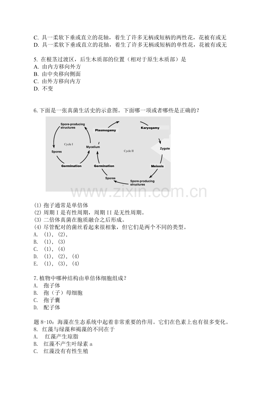 2009年集训植物形态解剖及系统分类试题.doc_第2页