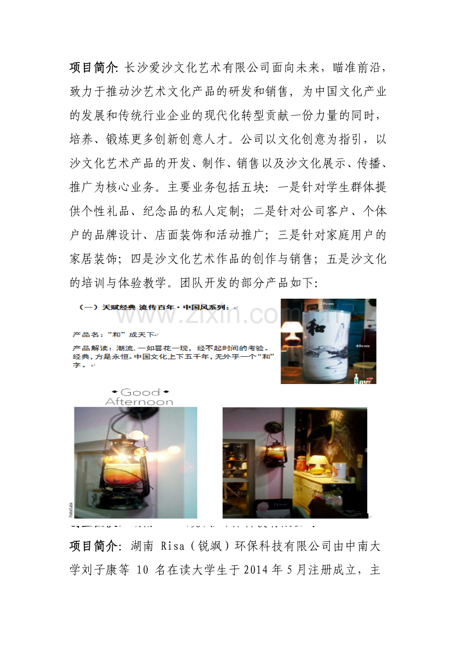 创新创业项目展板内容湖南人力资源社会保障公共服务网.doc_第2页