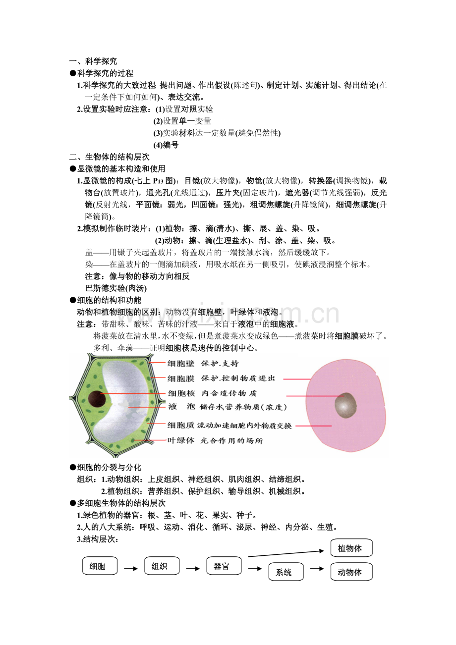 初中生物复习提纲济南版.doc_第1页