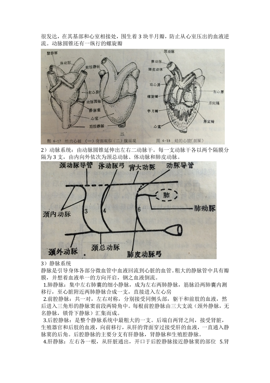 蟾蜍心脏传导系实验报告.docx_第3页