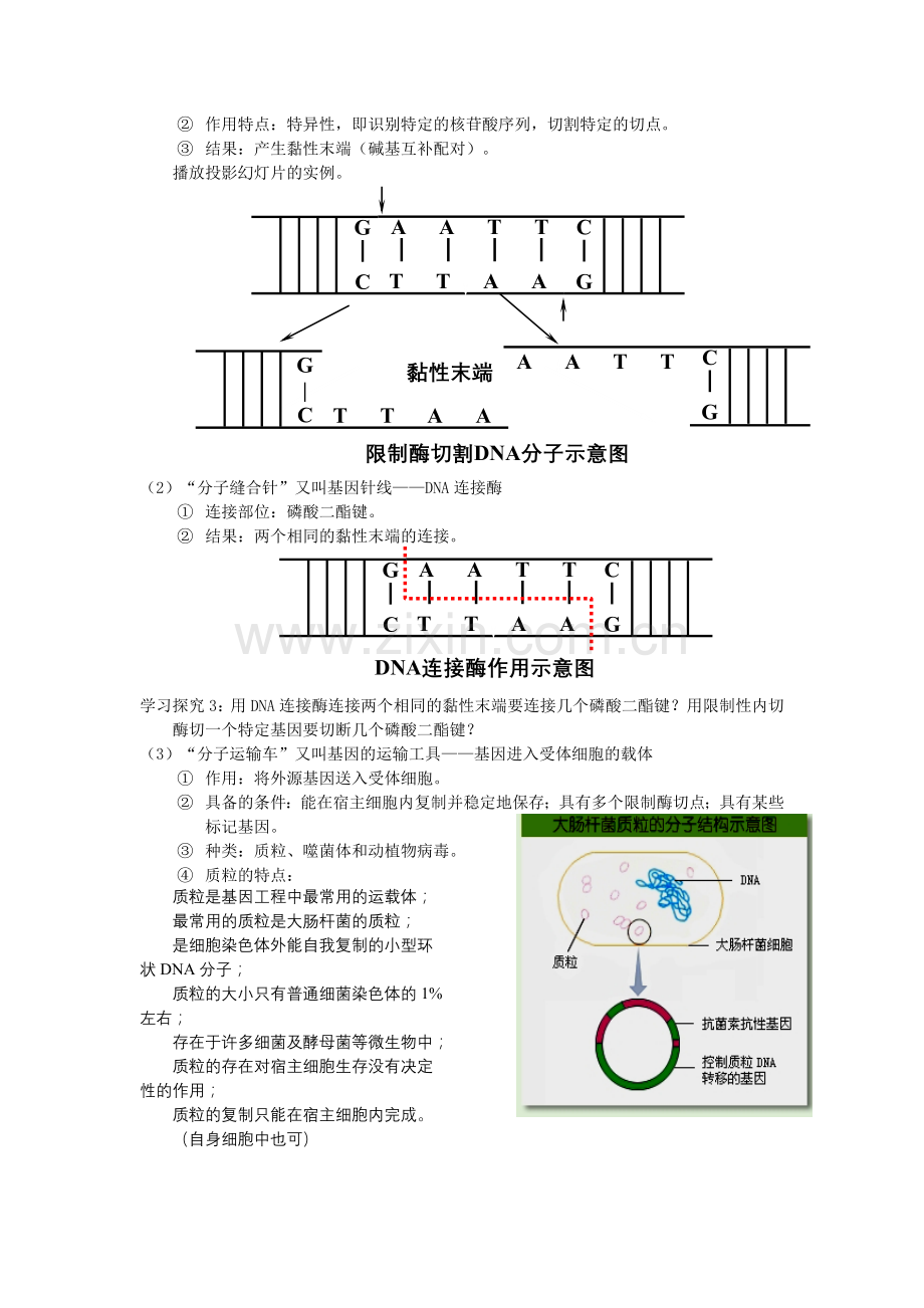 高中生物选修3现代生物科技专题教案全集.doc_第3页