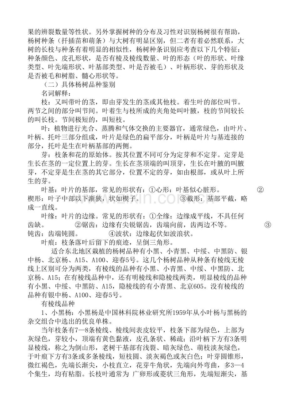 东北地区主要杨树品种鉴别区分与育苗技术.doc_第2页