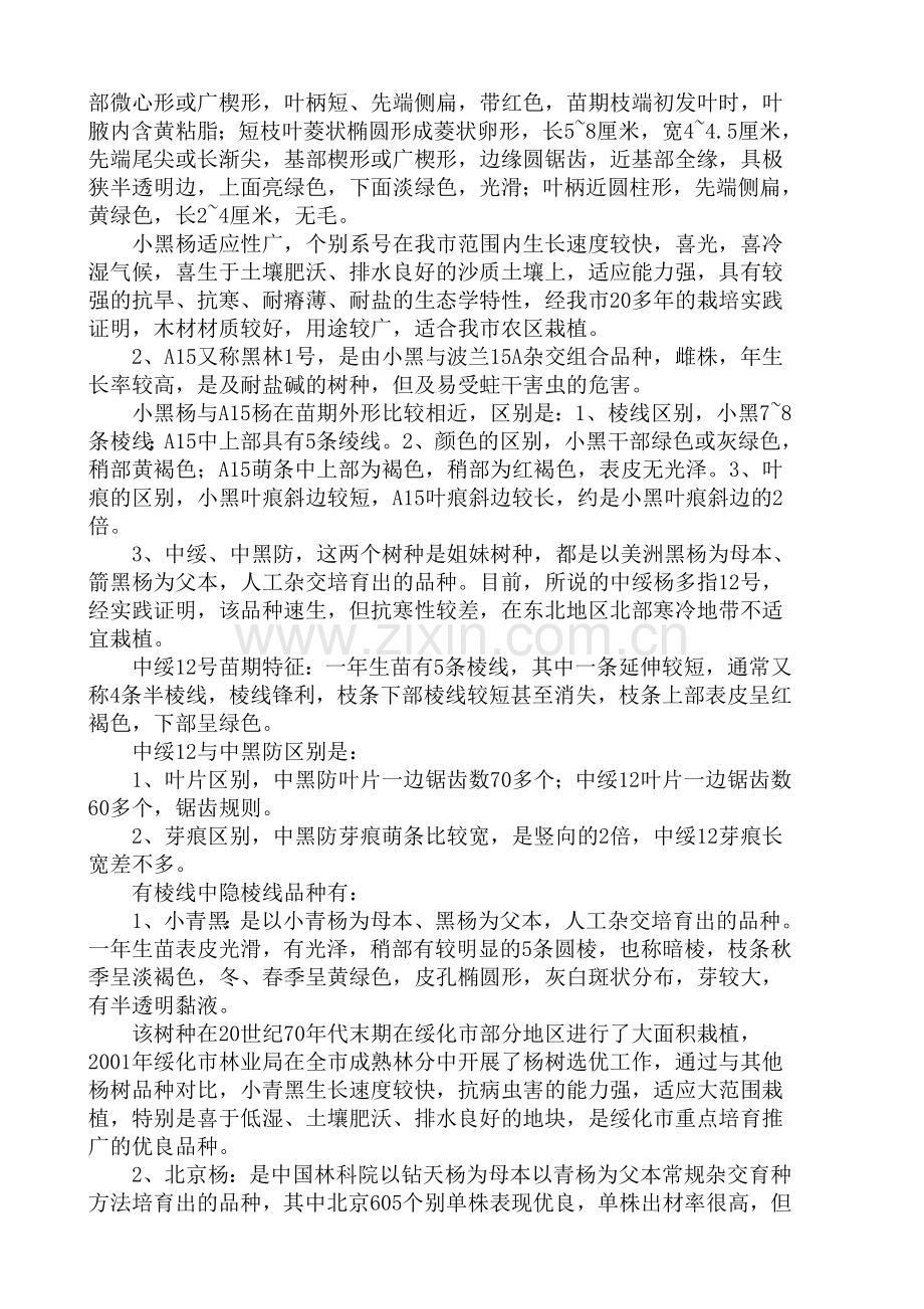 东北地区主要杨树品种鉴别区分与育苗技术.doc_第3页