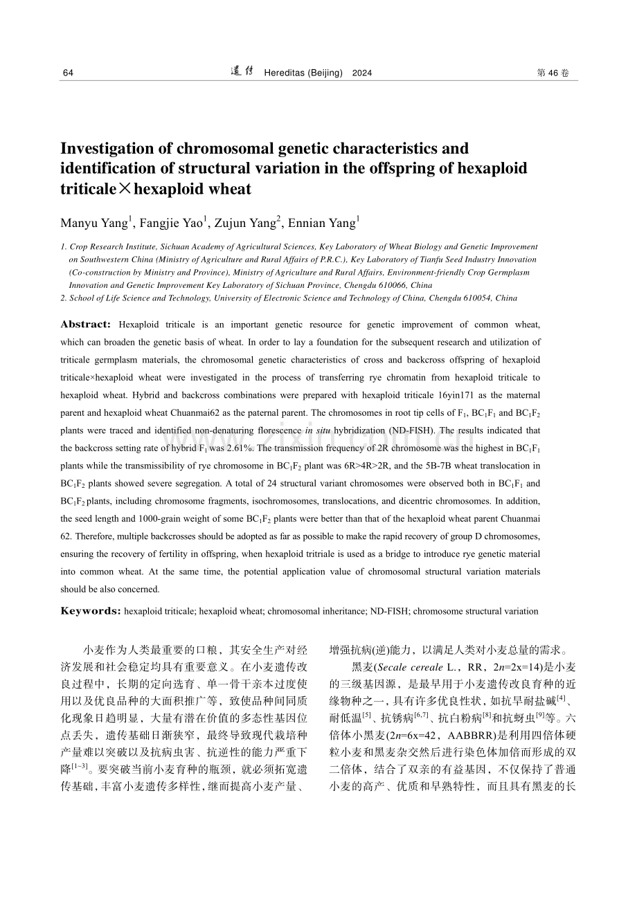 六倍体小黑麦×六倍体小麦杂交后代中染色体遗传与结构变异鉴定.pdf_第2页