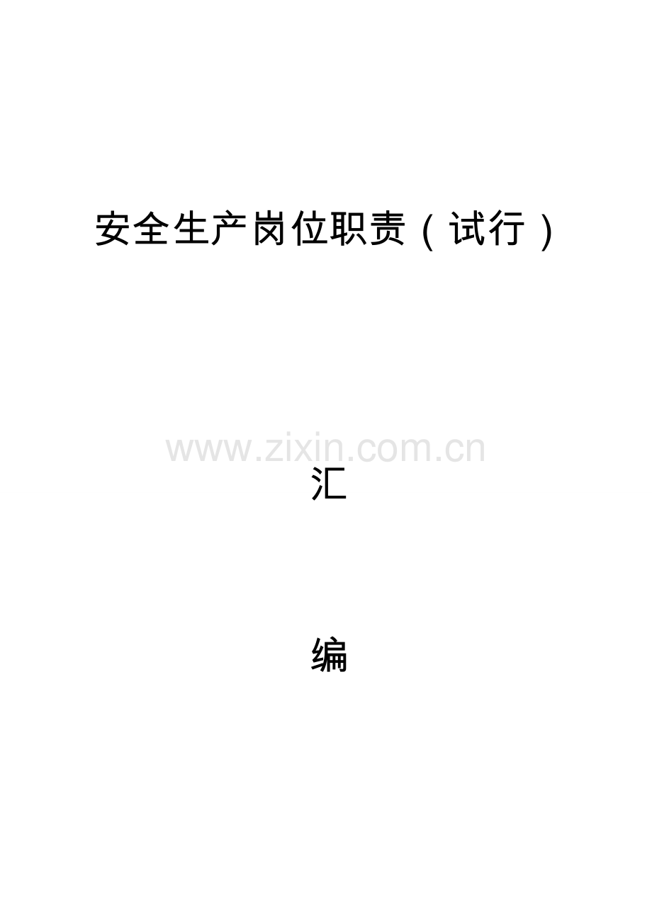 汽车租赁公司安全生产岗位职责试行.doc_第1页