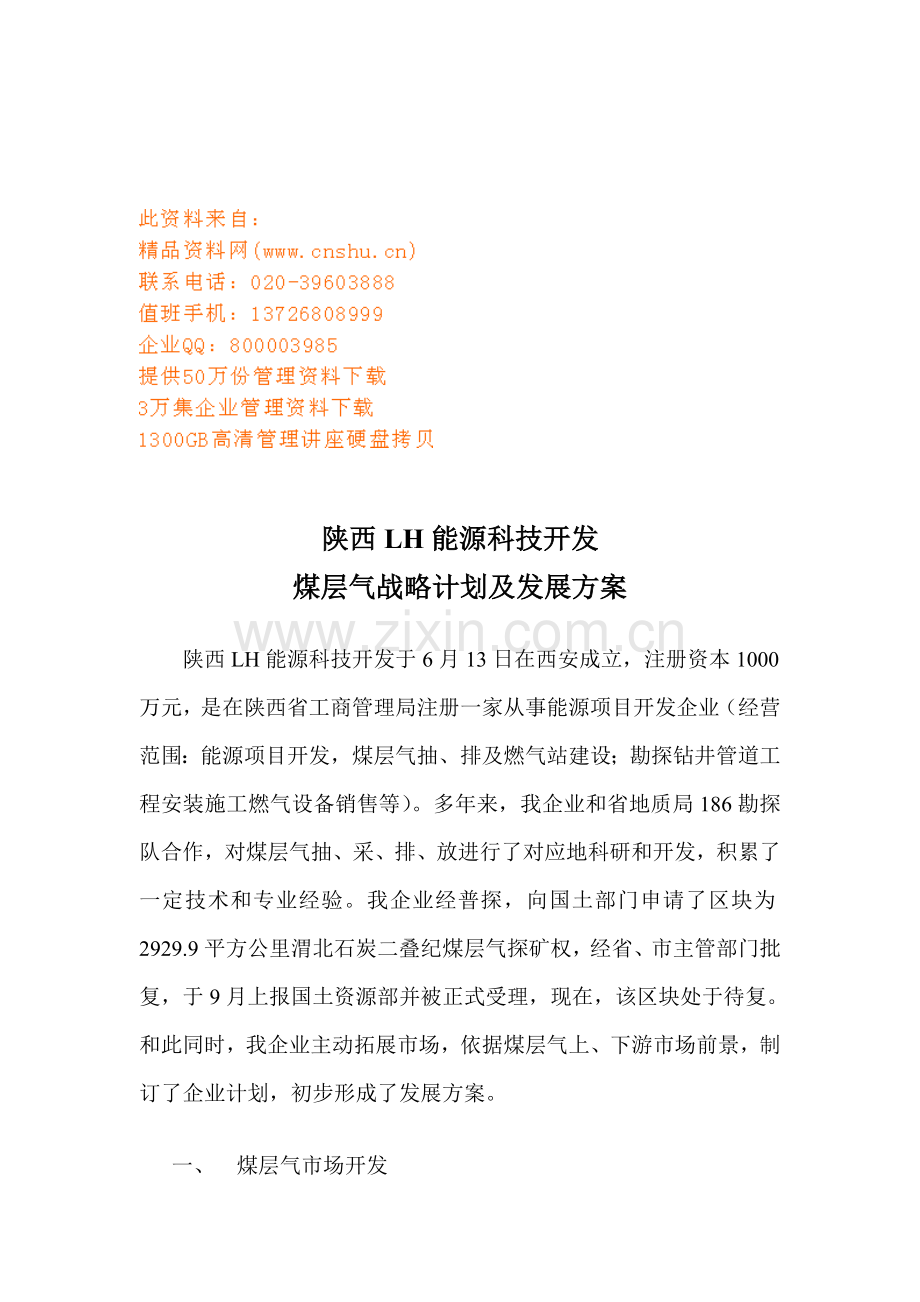 公司煤层气战略规划与发展方案样本.doc_第1页