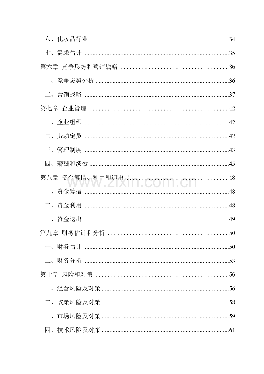 公司纳米商业计划书样本.doc_第3页